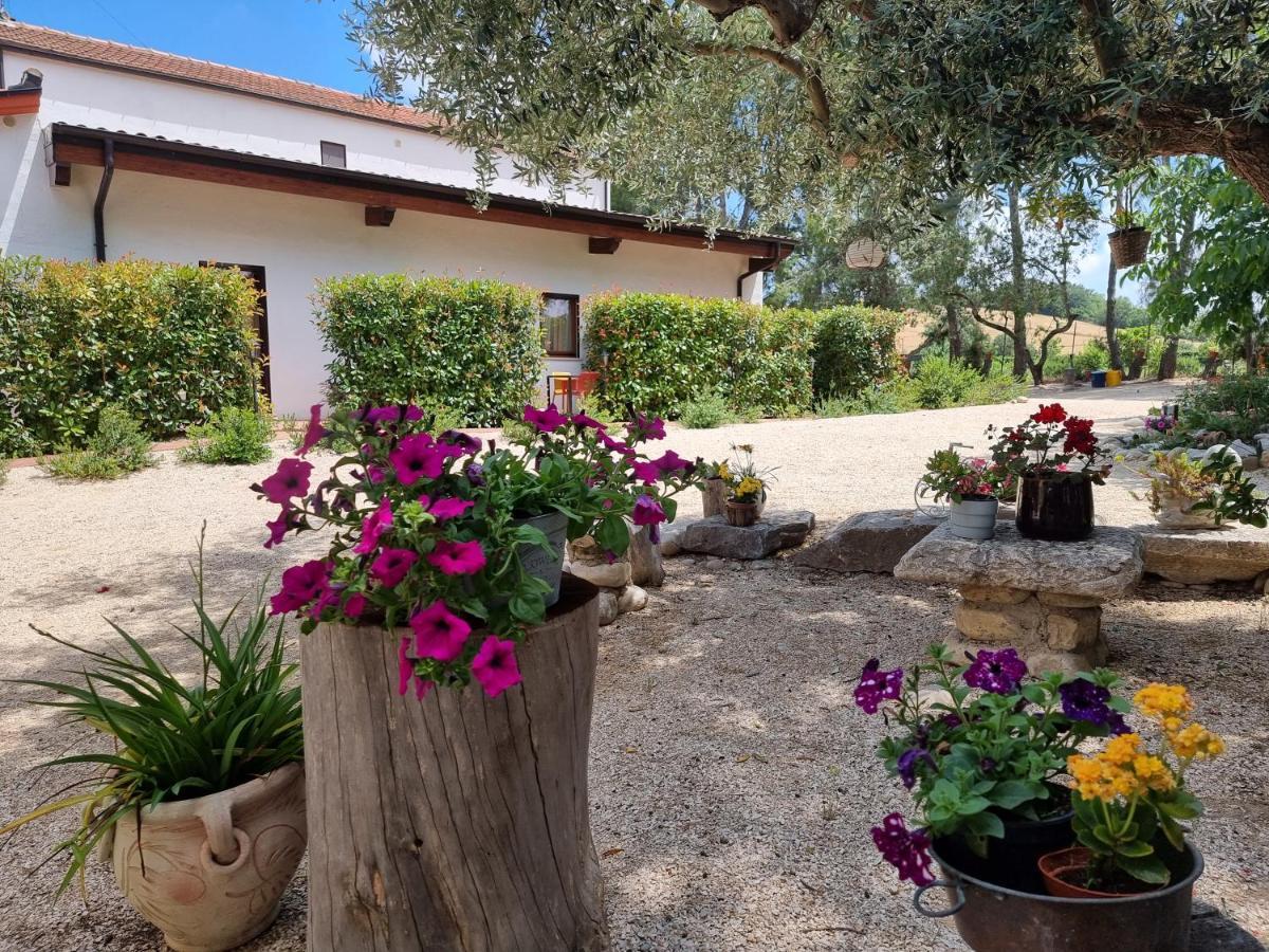 Agriturismo Essentia Dimora Rurale Larino Exterior photo