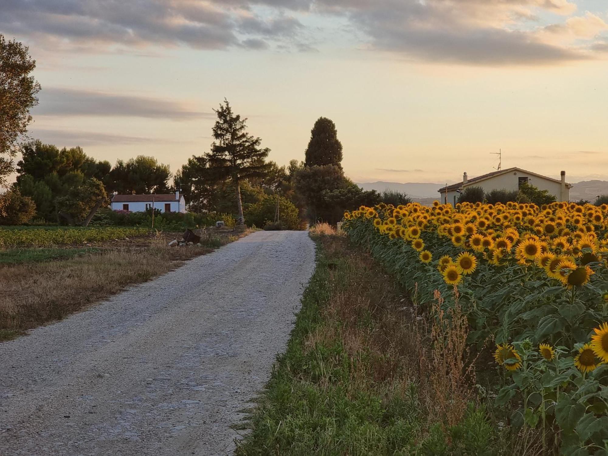 Agriturismo Essentia Dimora Rurale Larino Exterior photo